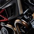 1-30_Diavel_Carbon