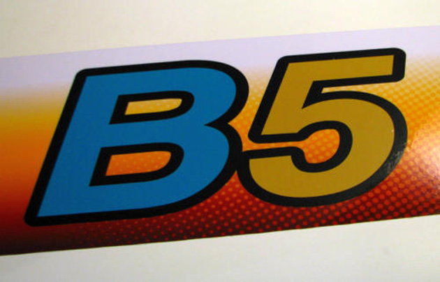 b5 bio