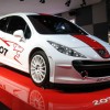 2006 Paris Motor Show Gallery: Peugeot 207 RCup