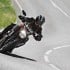 48-47_Diavel_Carbon