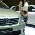 SONY DSC
