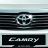 Front Radiator Grille