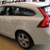 IMG_1865 IMG_1865