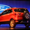 IMG_2491 IMG_2491