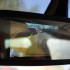 IMG_5068b