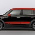 JCW-12