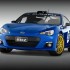 PBMS BRZ 01