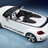VW_5115