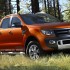 Wildtrak 1