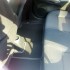 almera 12