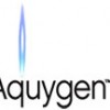 Denny Klein’s Aquygen, yet another “just add water” hydrogen injection system