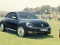 beetle-fender-01