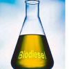 Central region to go B5 biodiesel from June 2011