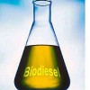Malaysian B5 biodiesel at pumps to comply with MS2008 based on EN14214 biodiesel standard