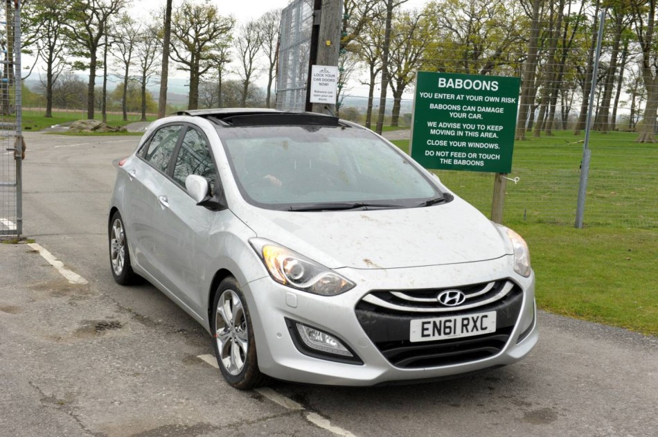 i30 monkey 8