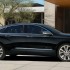 impala-05