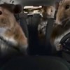 VIDEO: Kia Soul – a new way to roll!