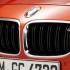 m6-kidney-badge