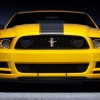 mustang boss 10 mustang boss 10