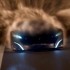 peugeot-onyx-concept-5