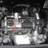 polo tsi