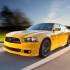 superbee-02