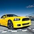 superbee-08