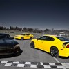 superbee-15