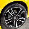 superbee-16