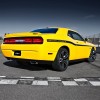 yellow-jacket-01