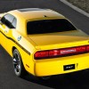 yellow-jacket-02