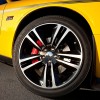 yellow-jacket-05