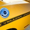 yellow-jacket-07