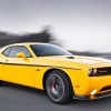 yellow-jacket-09