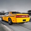 yellow-jacket-12