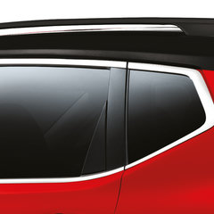 3_New Black Roof Rails