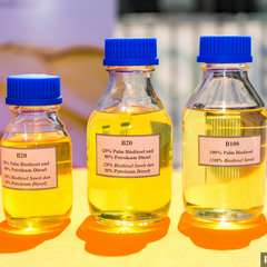 B20 Biodiesel launch 3