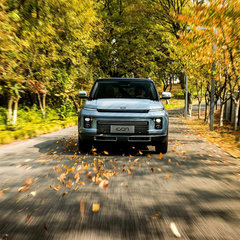 Geely-Icon-9