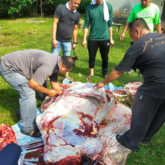 Prolintas-Shah-Alam_4
