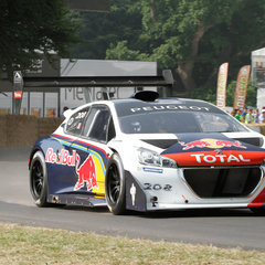 Peugeot_208_T16_Pikes_Peak_Goodwood_03