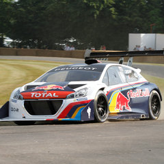 Peugeot_208_T16_Pikes_Peak_Goodwood_04
