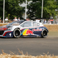 Peugeot_208_T16_Pikes_Peak_Goodwood_05