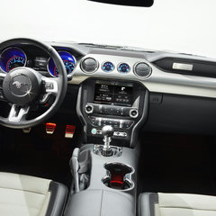 Mustang 50th Edition 05