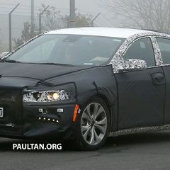 Spy-Shots of Cars