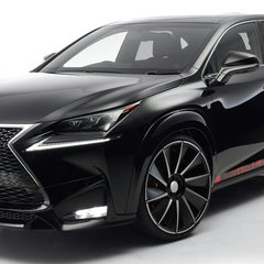 lexus-nx-wald-10