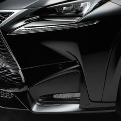 lexus-nx-wald-14