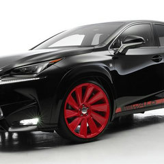 lexus-nx-wald-4