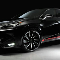 lexus-nx-wald