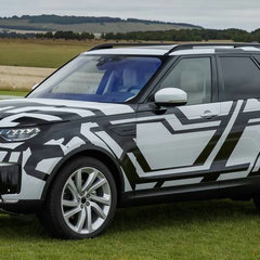 lr disco grylls 04