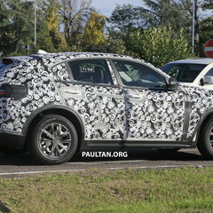SPYSHOTS: Alfa Romeo Stelvio SUV spotted again